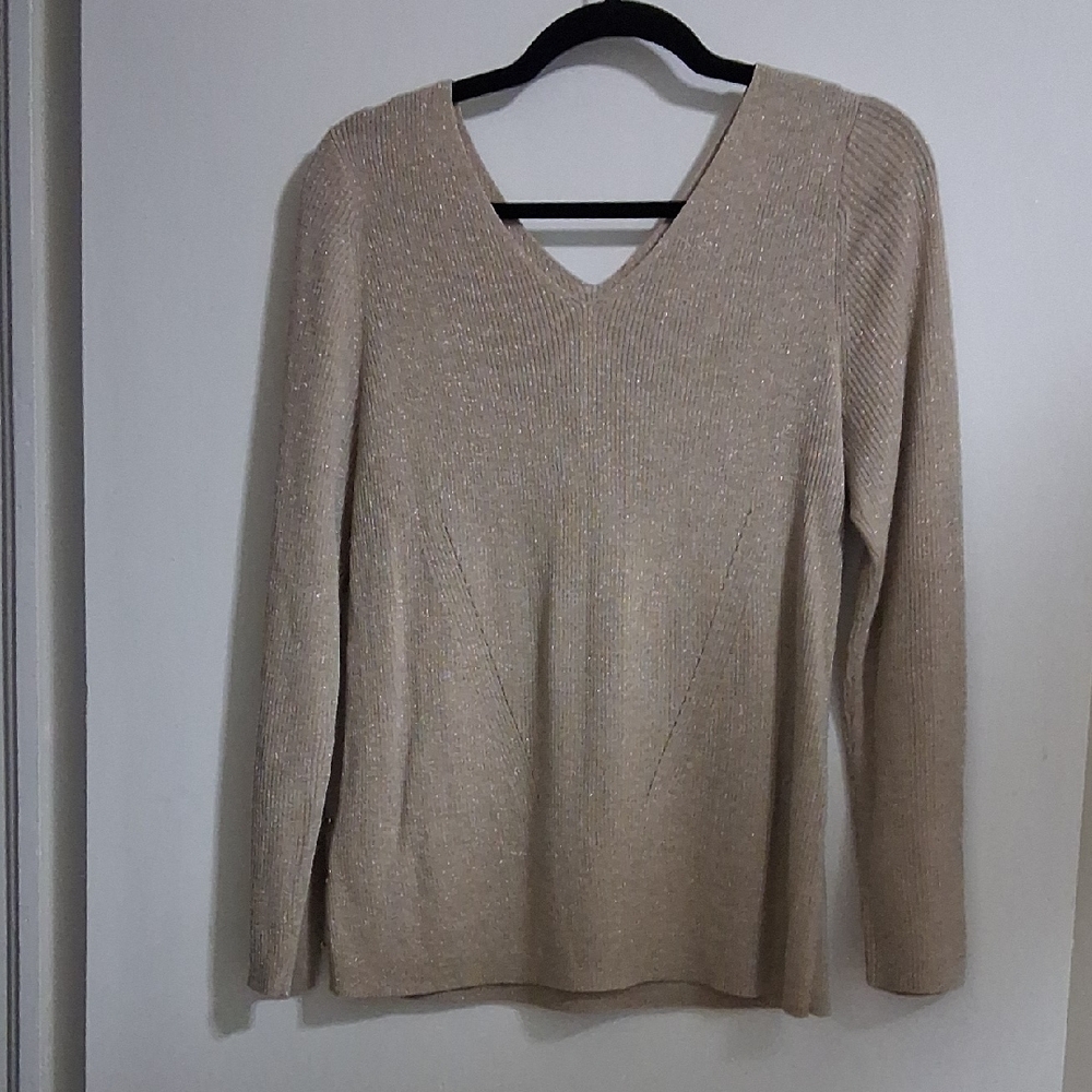 Ann Taylor V-neck Sweater Size XLP